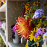 iProPro12.9インチのロック画面等の花の壁紙