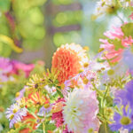 iPadPro12.9インチのロック画面等の花の壁紙