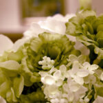 iProPro12.9インチのロック画面等の花の壁紙