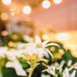 iProPro12.9インチのロック画面等の花の壁紙