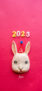 iPhone14・13・13Pro・12・12Proの新年の壁紙