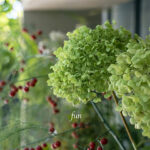 iPad10.2インチのロック画面等の花の壁紙を配信中