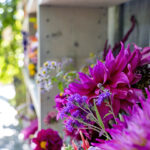 iPad10.5インチの花の壁紙が取り放題