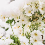 iPad10.2インチのロック画面等の冬の壁紙を配信中