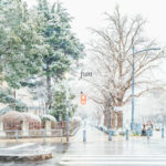 iPadAir第5・6世代10.9インチの冬の壁紙を配信中