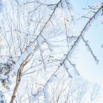 iPad9.7・7.9インチの冬の壁紙