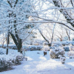 iPad9.7・7.9インチの冬の壁紙