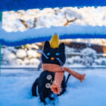 iPad9.7・7.9インチの冬の壁紙