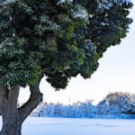 iPad9.7・7.9インチの冬の壁紙