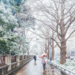 iPad9.7・7.9インチの冬の壁紙