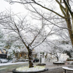 iPad9.7・7.9インチの冬の壁紙