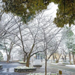 iPad9.7・7.9インチの冬の壁紙