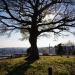 iPad9.7・7.9インチの冬の壁紙