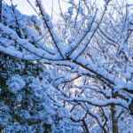 iPad9.7・7.9インチの冬の壁紙