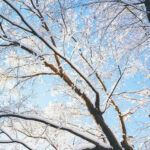 iPad9.7・7.9インチの冬の壁紙