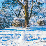 iPad9.7・7.9インチの冬の壁紙