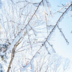 iPad10.2インチのロック画面等の冬の壁紙