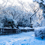 iPad10.2インチのロック画面等の冬の壁紙