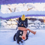 iPad10.2インチのロック画面等の冬の壁紙