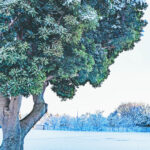 iPad10.2インチのロック画面等の冬の壁紙