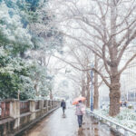 iPad10.2インチのロック画面等の冬の壁紙