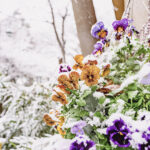 iPad10.2インチのロック画面等の冬の壁紙