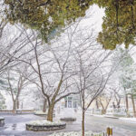 iPad10.2インチのロック画面等の冬の壁紙