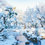 iPad10.2インチのロック画面等の冬の壁紙