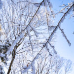 iPadPro・Air10.5インチの冬の壁紙