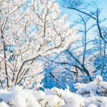 iPadPro・Air10.5インチの冬の壁紙