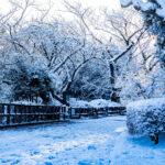 iPadPro・Air10.5インチの冬の壁紙