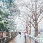 iPadPro・Air10.5インチの冬の壁紙