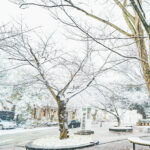 iPadPro・Air10.5インチの冬の壁紙