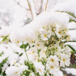 iPadPro・Air10.5インチの冬の壁紙