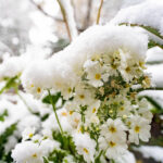 iPadPro・Air10.5インチの冬の壁紙