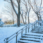 iPadPro・Air10.5インチの冬の壁紙