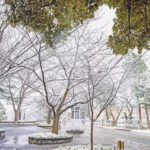 iPadPro・Air10.5インチの冬の壁紙