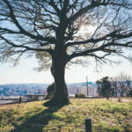 iPadPro・Air10.5インチの冬の壁紙