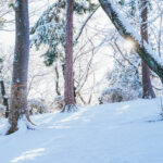 iPad11インチのロック画面等の冬の壁紙