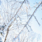 iPad11インチのロック画面等の冬の壁紙