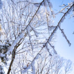 iPad11インチのロック画面等の冬の壁紙