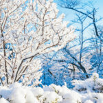 iPad11インチのロック画面等の冬の壁紙