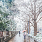 iPad11インチのロック画面等の冬の壁紙