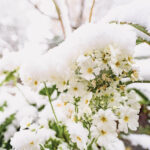 iPad11インチのロック画面等の冬の壁紙