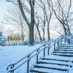 iPad11インチのロック画面等の冬の壁紙