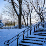 iPad11インチのロック画面等の冬の壁紙