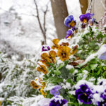 iPad11インチのロック画面等の冬の壁紙