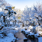 iPad11インチのロック画面等の冬の壁紙