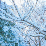 iPad11インチのロック画面等の冬の壁紙