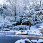 iPad11インチのロック画面等の冬の壁紙